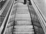 Concentrating on stopping the escalator in Munich in 1971.