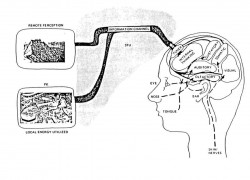 Fig. 9. Thought transfer.